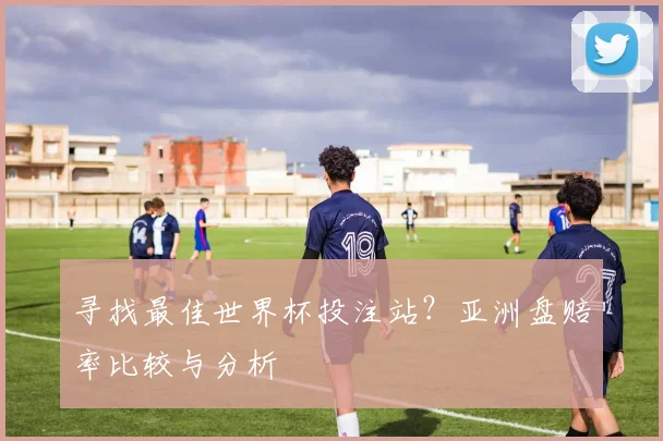 寻找最佳世界杯投注站?亚洲盘赔率比较与分析