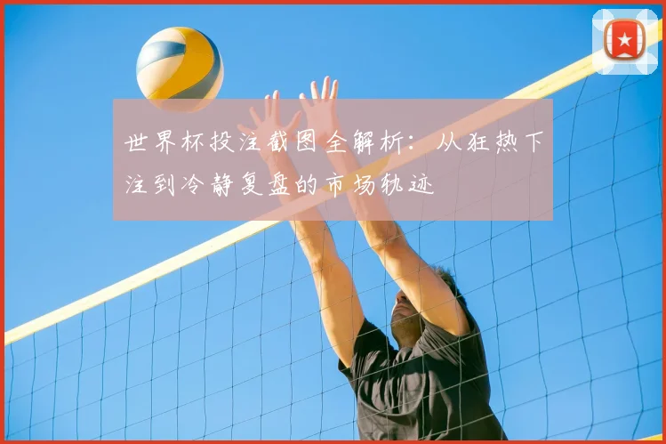 世界杯投注截图全解析：从狂热下注到冷静复盘的市场轨迹